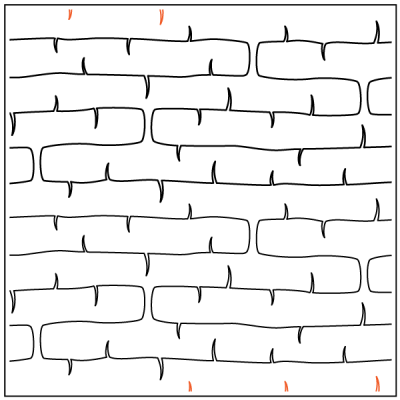 Winter Birch – 6.75” Paper Pantograph - Maple Leaf Quilting Company Ltd.