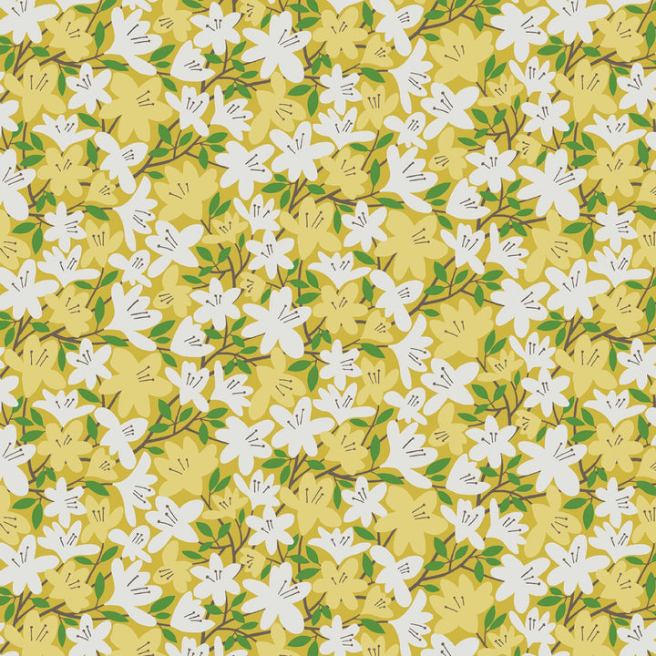Blooming Color 2 Yellow Fat Quarter Bundle | Fat Quarter Package 5pcs (FQBC2BX-Yel)