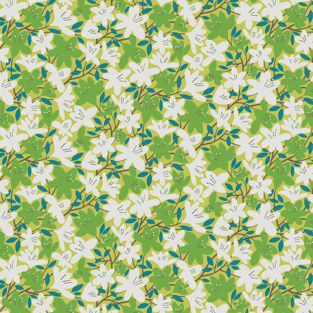 Blooming Color 2 Green Fat Quarter Bundle | Fat Quarter Package 6pcs (FQBC2BX-GRE)