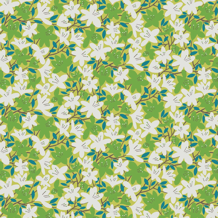 Blooming Color 2 Green Fat Quarter Bundle | Fat Quarter Package 6pcs (FQBC2BX-GRE)