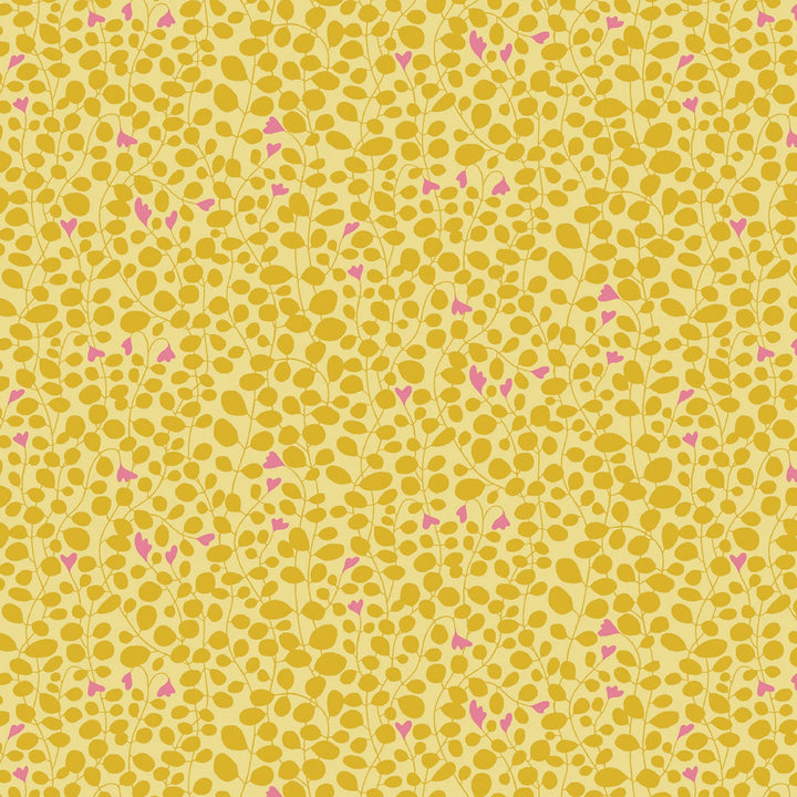 Blooming Color 2 Yellow Fat Quarter Bundle | Fat Quarter Package 5pcs (FQBC2BX-Yel)