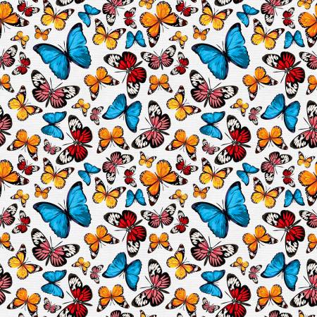 Butterflies Tropicana 118" Cotton (183-24356)  – Sold in UNITS of ¼ metre