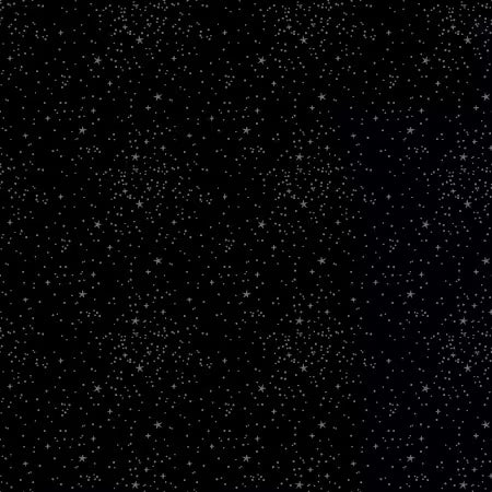 Blackout by Riley Blake | 1 Yard Cuts