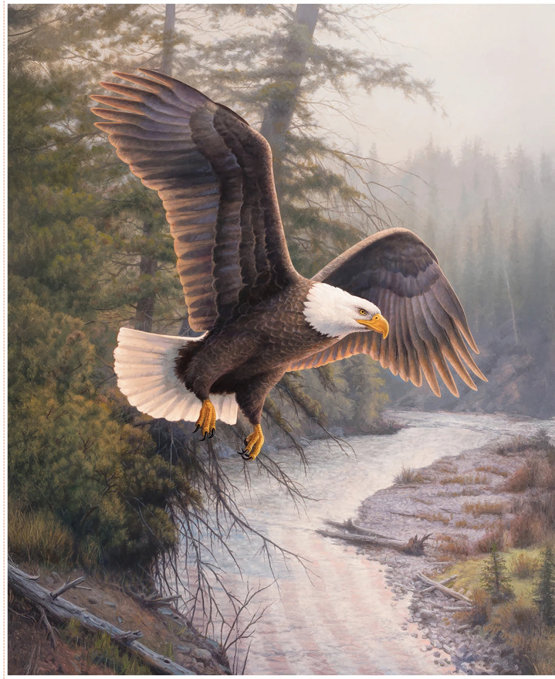 Majestic in Nature II - Eagle Panel
