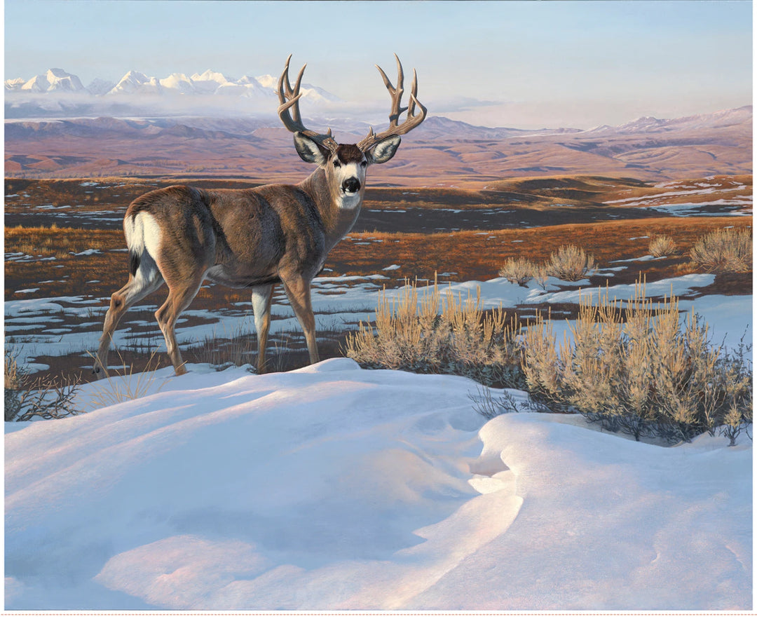 Majestic in Nature II - Drifting Panel