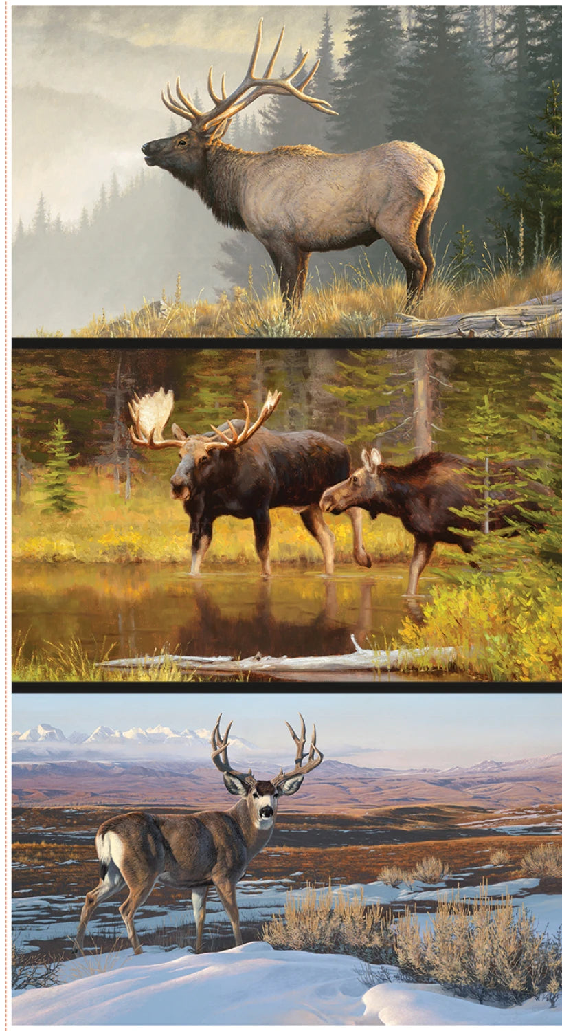 Majestic in Nature II - Pillow Panel