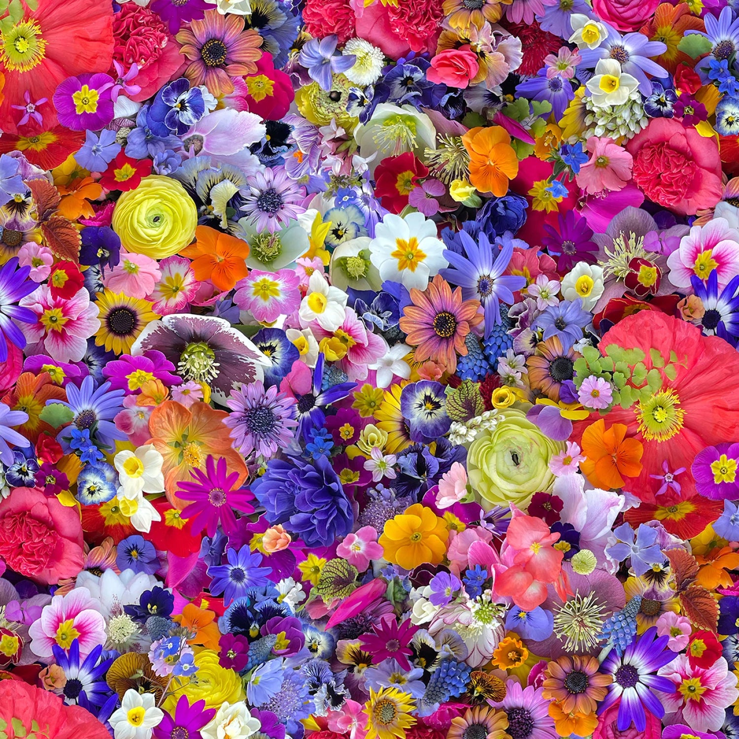 Multi Kaleidoscope 108” Cotton (QB10860M-Z) - Sold in UNITS of 1/4 metre