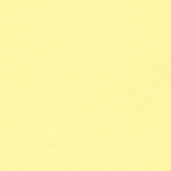 Butter Solid Minky 108” Minky - 3 Yard Pre - Cut (1394 - 3YD - BUTTER) - Maple Leaf Quilting Company Ltd.