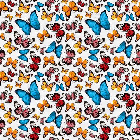 Butterflies Tropicana 118" Cotton (183 - 24356) – Sold in UNITS of ¼ metre - Maple Leaf Quilting Company Ltd.