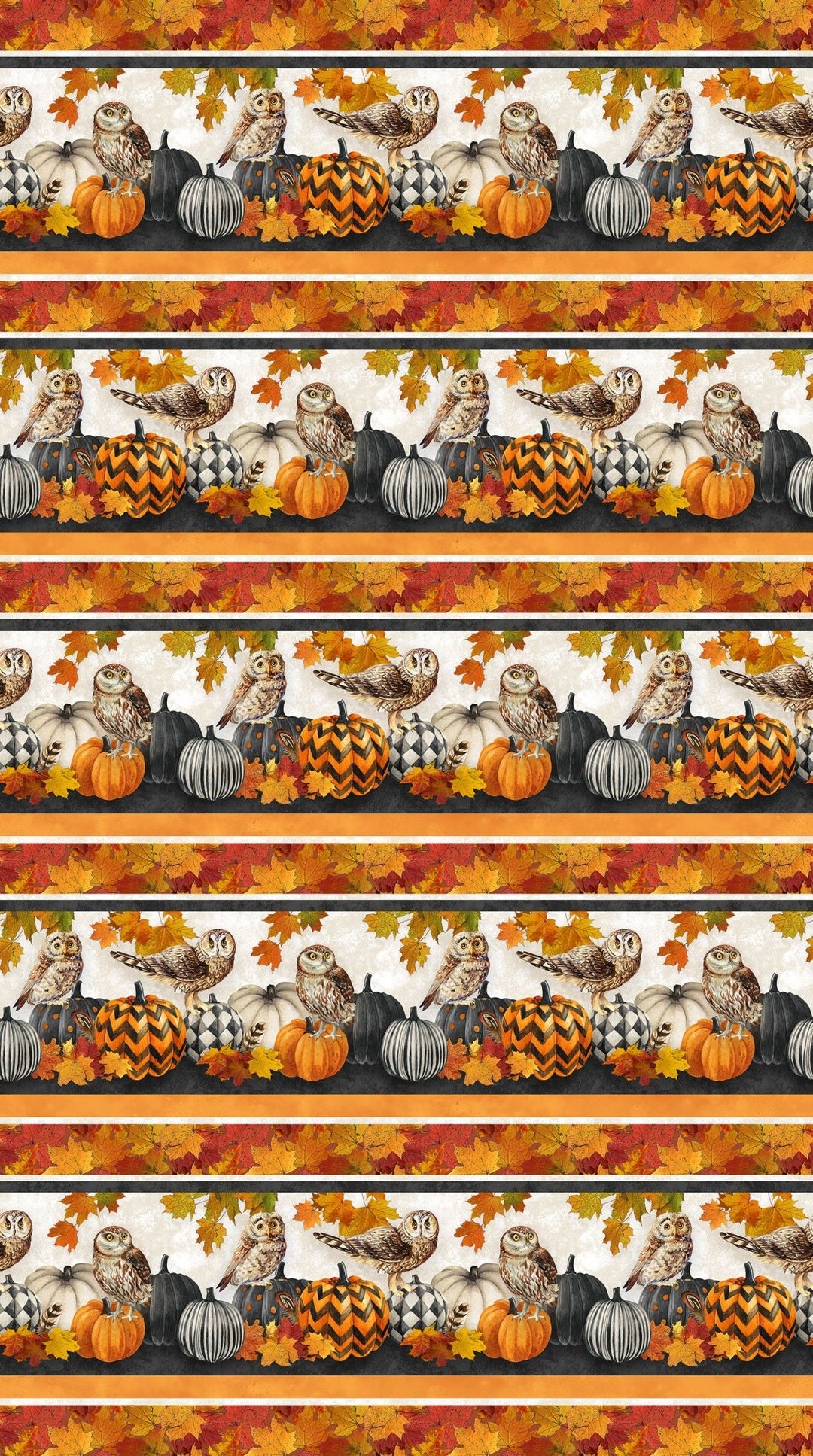 Charcoal Multi Border Stripe - Night Owl | 43/44" Cotton (DP28845 - 96) - Sold in UNITS of ¼ metre - Maple Leaf Quilting Company Ltd.