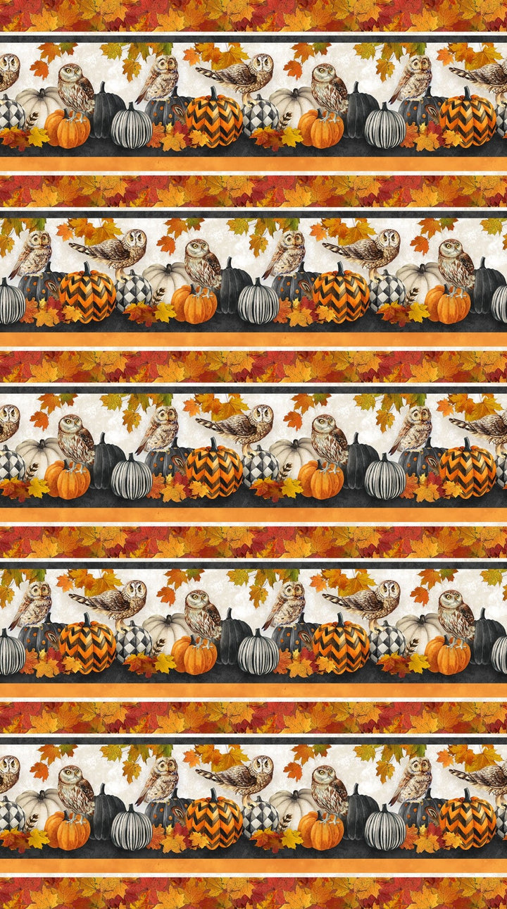 Charcoal Multi Border Stripe - Night Owl | 43/44" Cotton (DP28845 - 96) - Sold in UNITS of ¼ metre - Maple Leaf Quilting Company Ltd.