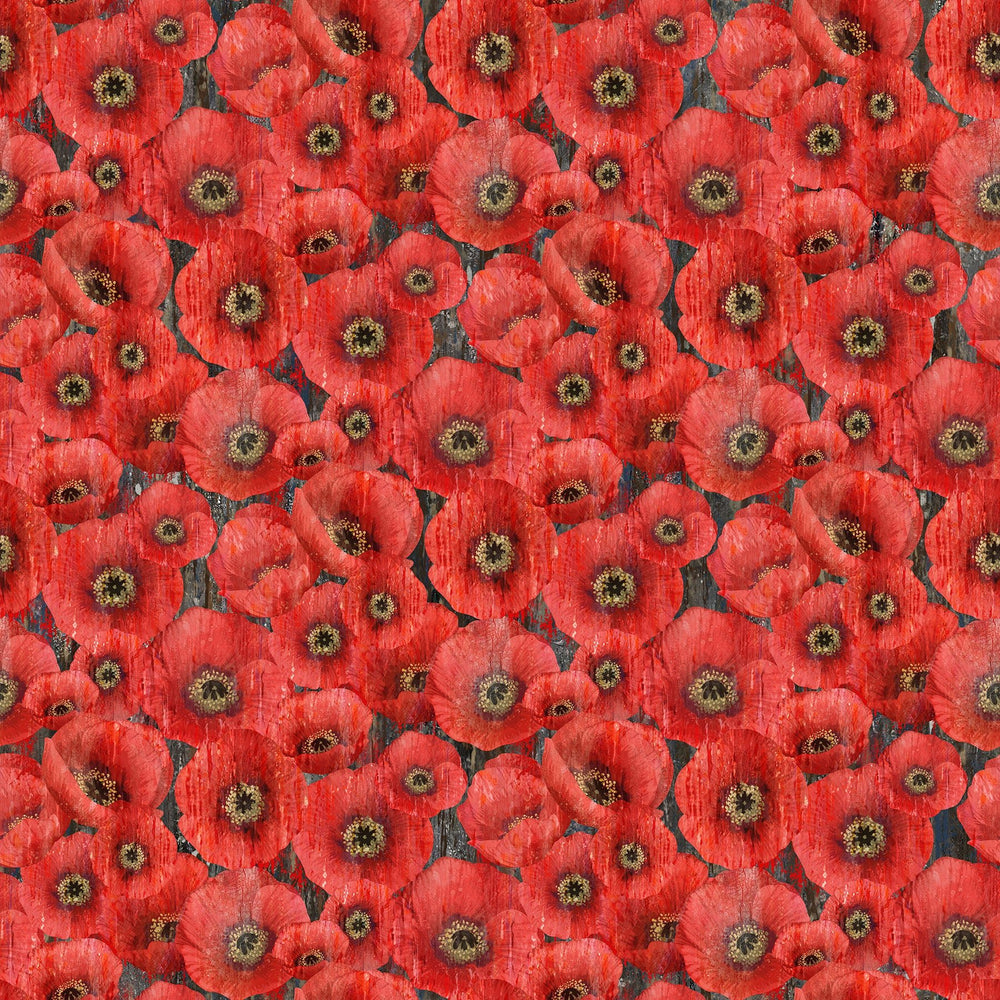 Charcoal Packed Poppy - Poppy Meadow | 43/44" (DP29088 - 97) - Sold in UNITS of ¼ metre - Maple Leaf Quilting Company Ltd.