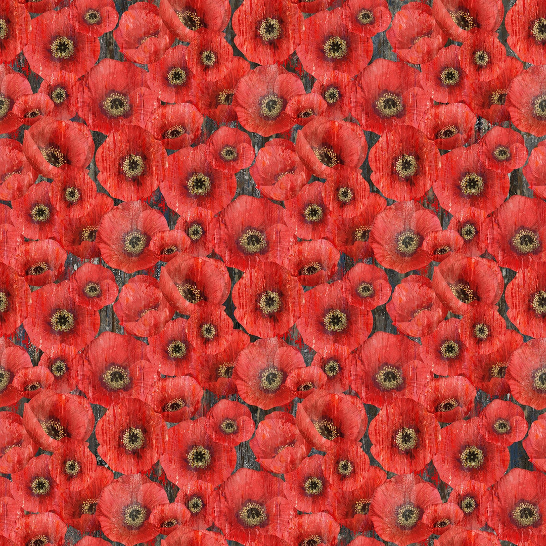 Charcoal Packed Poppy - Poppy Meadow | 43/44" (DP29088 - 97) - Sold in UNITS of ¼ metre - Maple Leaf Quilting Company Ltd.