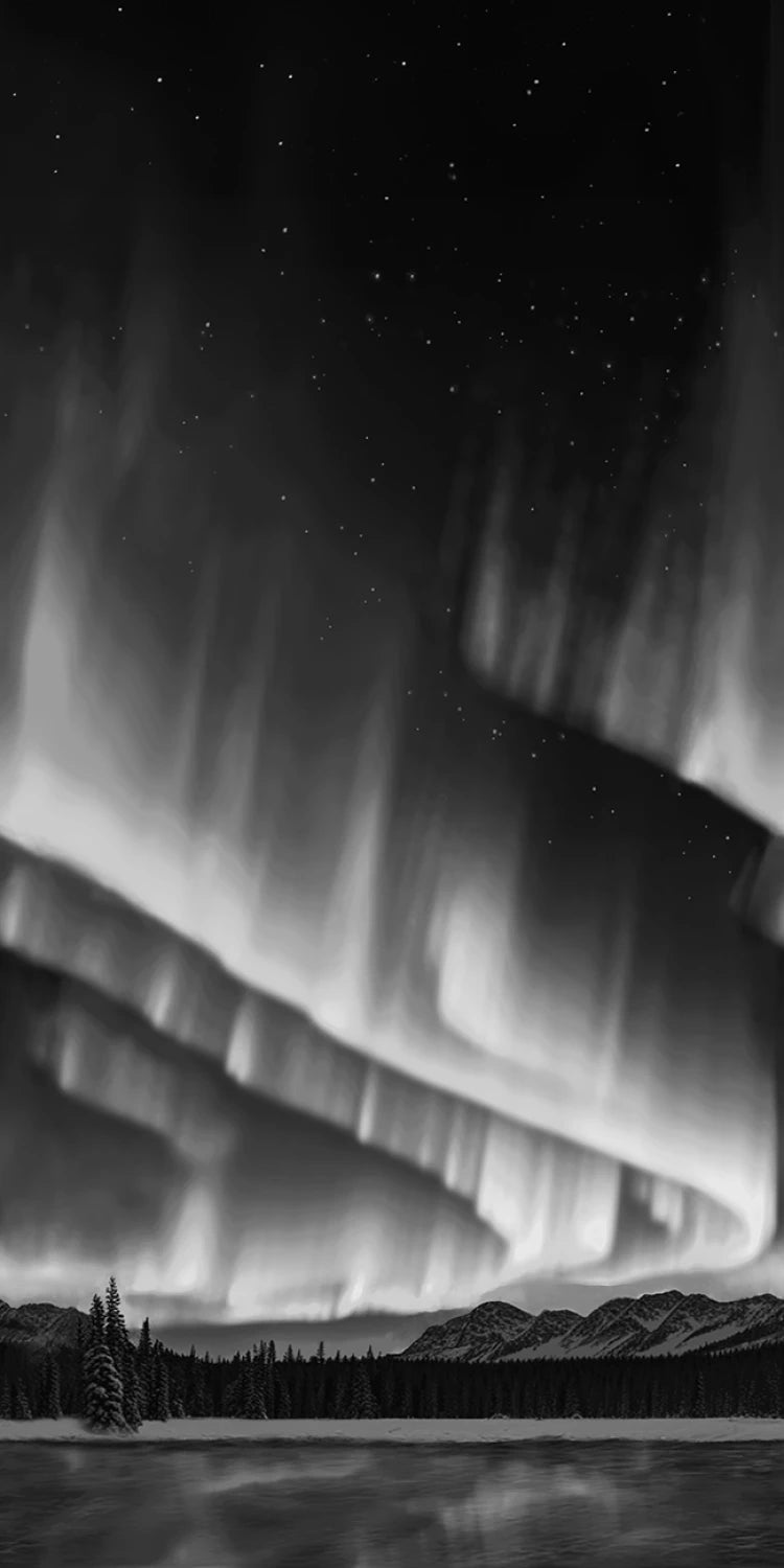 Cosmic Flow by Crazy Marie Collection - Black/White Aurora Borealis | 108" Cotton (8458S - 91) – Sold in UNITS of ¼ metre - Maple Leaf Quilting Company Ltd.