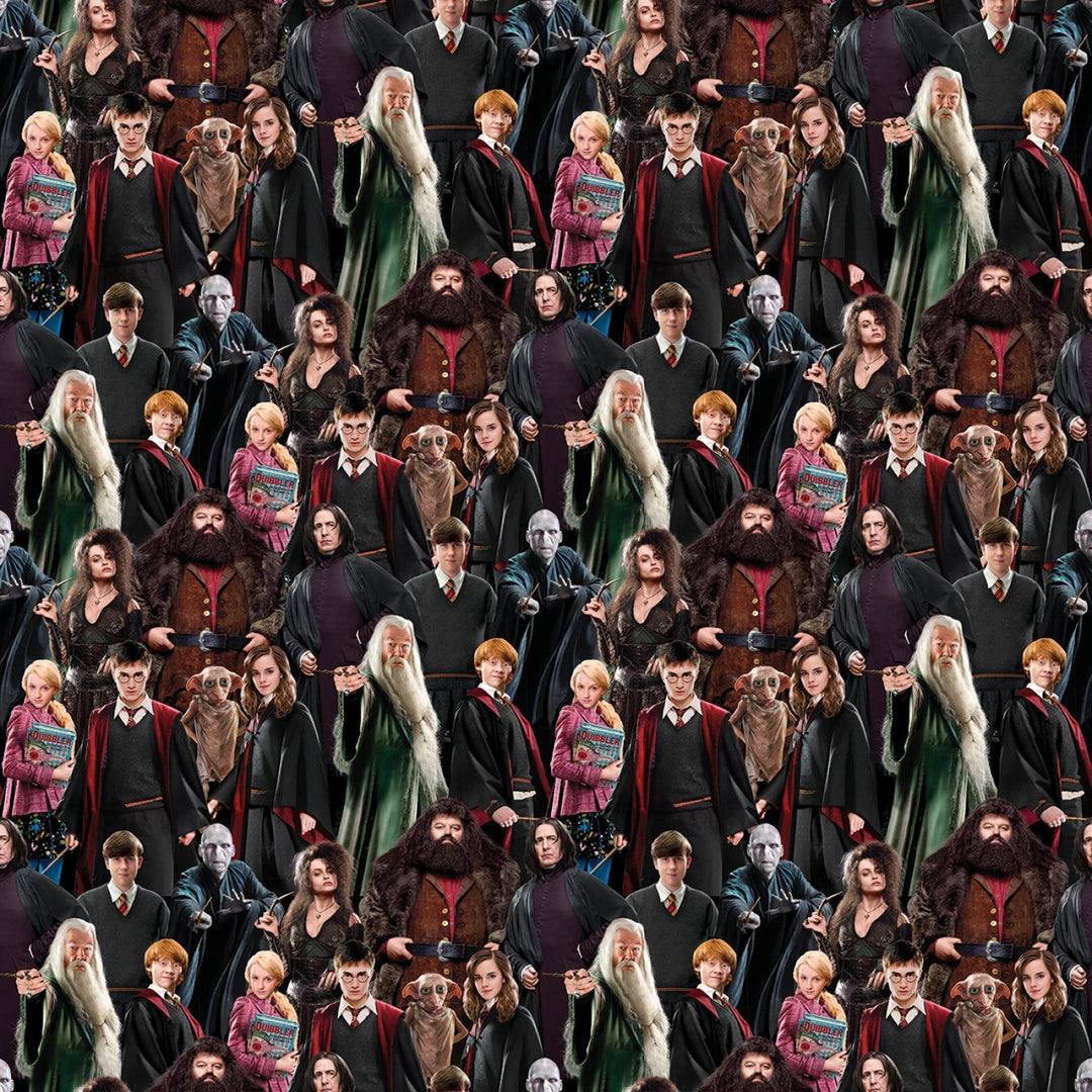 Harry Potter Characters 108” Cotton (15226WB - 99) - Sold in UNITS of 1/4 metre - Maple Leaf Quilting Company Ltd.