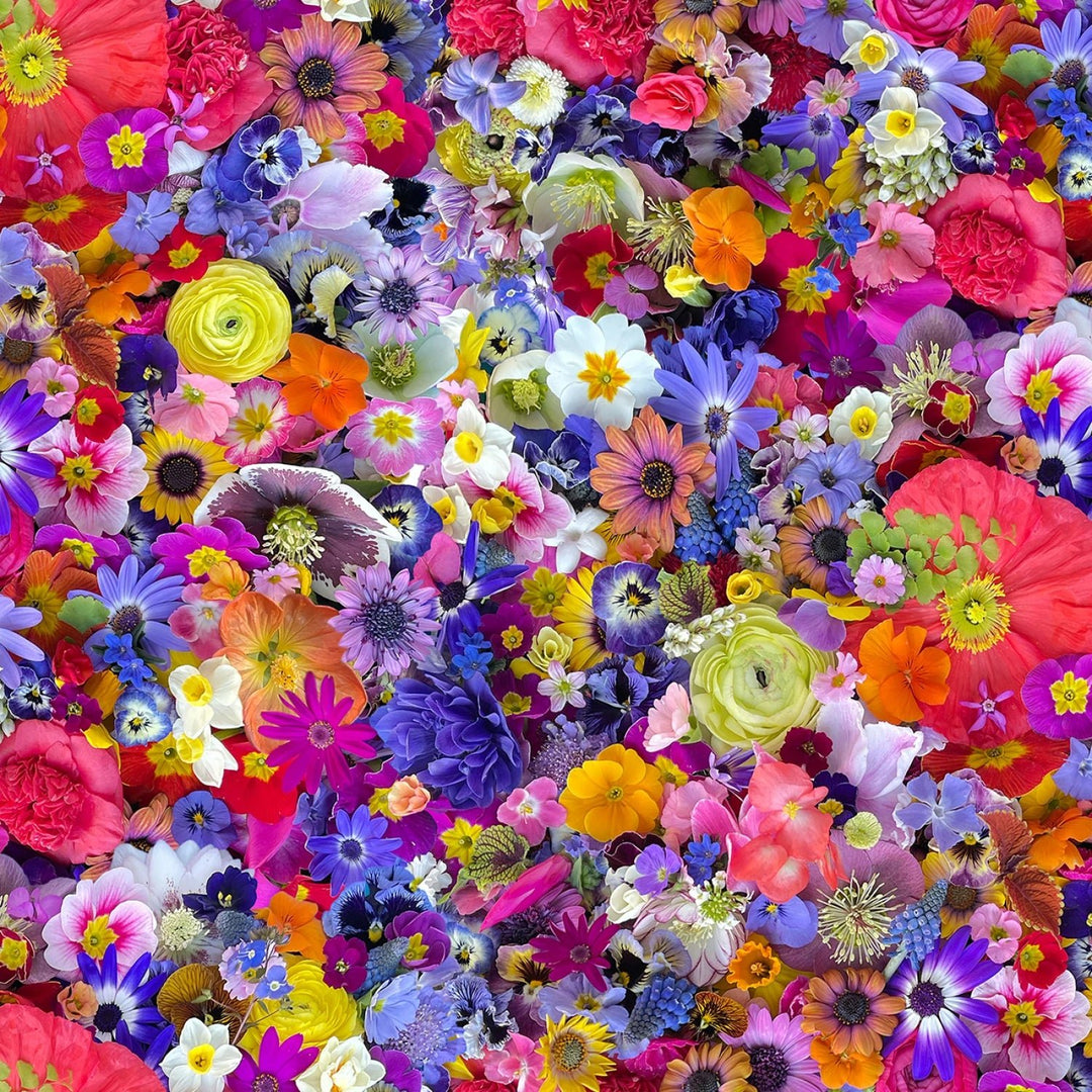 Multi Kaleidoscope 108” Cotton (QB10860M - Z) - Sold in UNITS of 1/4 metre - Maple Leaf Quilting Company Ltd.