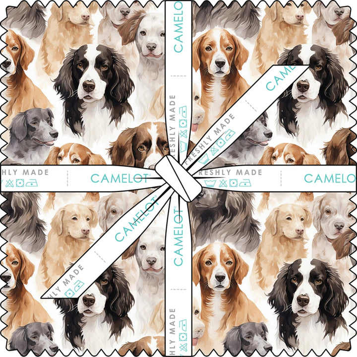 Paw &amp; Whisker| 10" Squares 42 pcs (21250610SQU) - Maple Leaf Quilting Company Ltd.