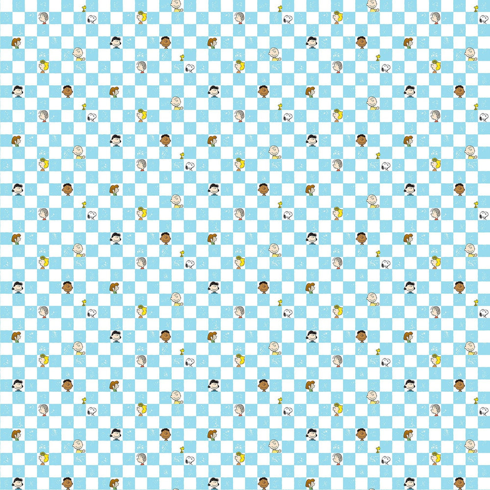 Peanuts Bundle | Fat Quarter Package 16pcs (FQPEANUTS16 - 10) - Maple Leaf Quilting Company Ltd.