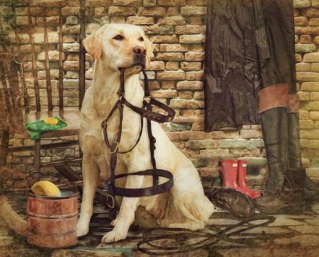 The Tack Room Panel 36" x 44" (AL - 6265 - 4C - 1) – Sold by the Panel - Maple Leaf Quilting Company Ltd.