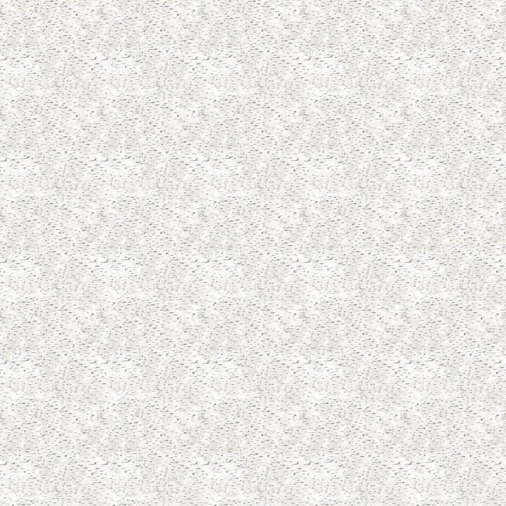 White Grey Birch Texture - Winter Woodland | 43/44" Cotton (28874 - 10) - Sold in UNITS of ¼ metre - Maple Leaf Quilting Company Ltd.