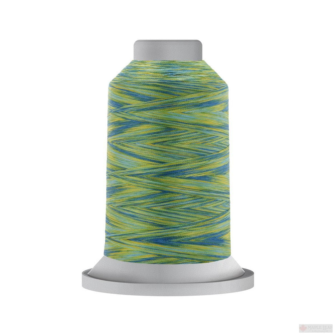 AFFINITY 2750M - 60458 Cyber - Maple Leaf Quilting Company Ltd.