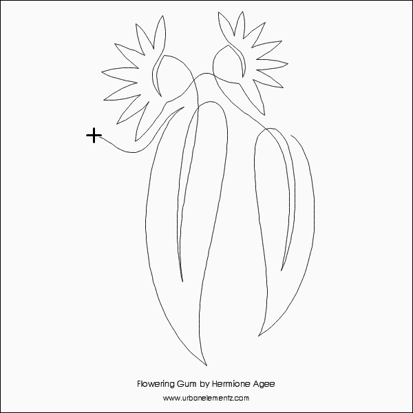 Flowering Gum - 9” Paper Pantograph